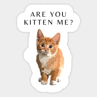 Are you kitten me? Cat T-shirt Sticker